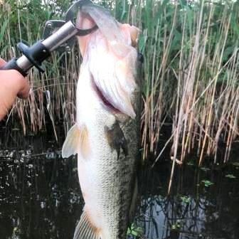 45UP